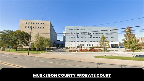 muskegon county case search|Probate Court 